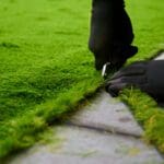 Artificial turf vs. natural grass