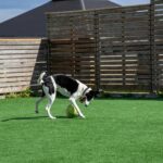 artificial grass upkeep